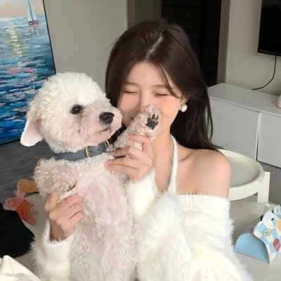 拂晓之街